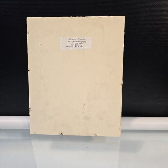 Art Photography David W Martin Signed Numbered 24626 Nature Photography - Picture 3 of 4